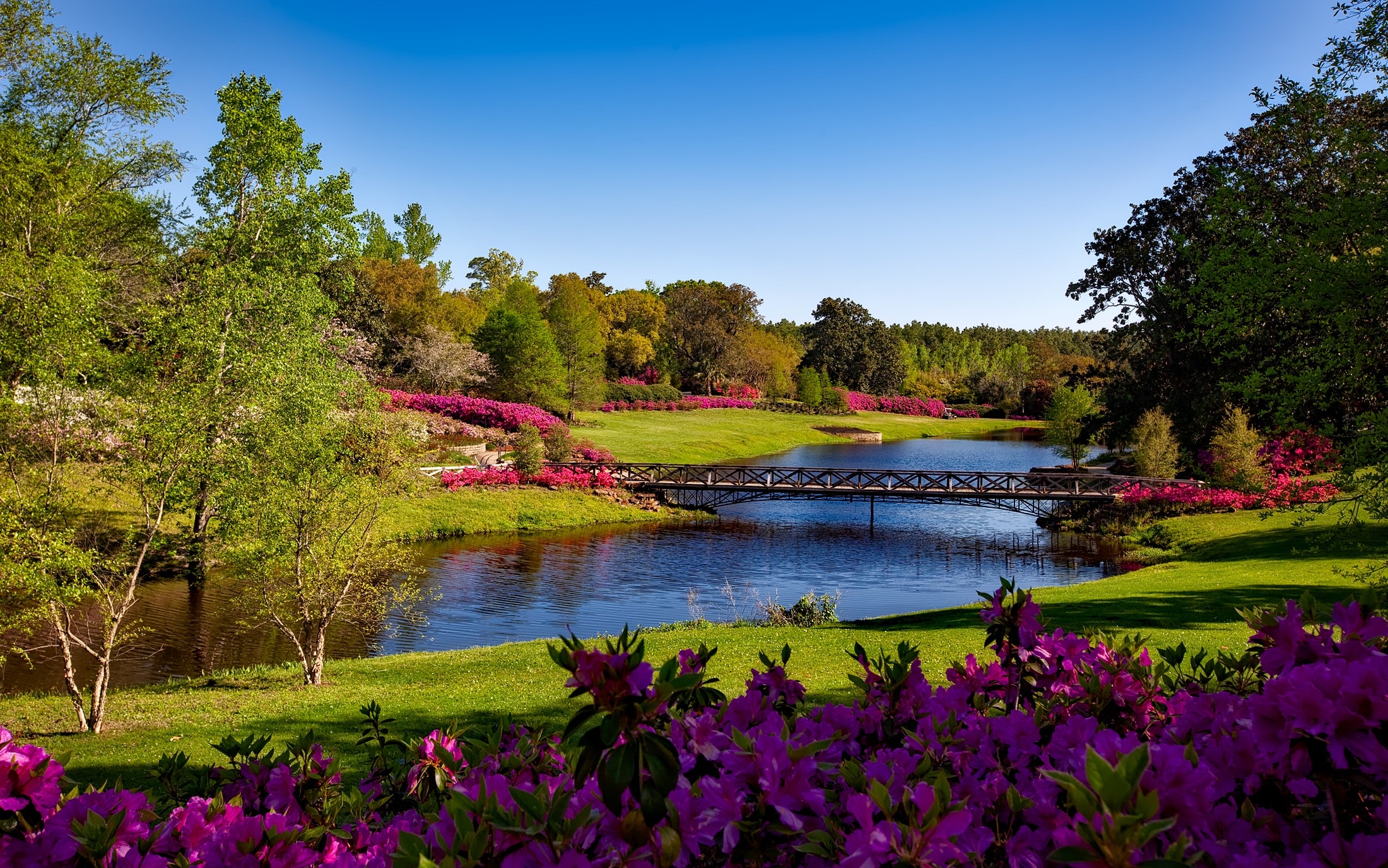 bridge-flowers-grass-158063