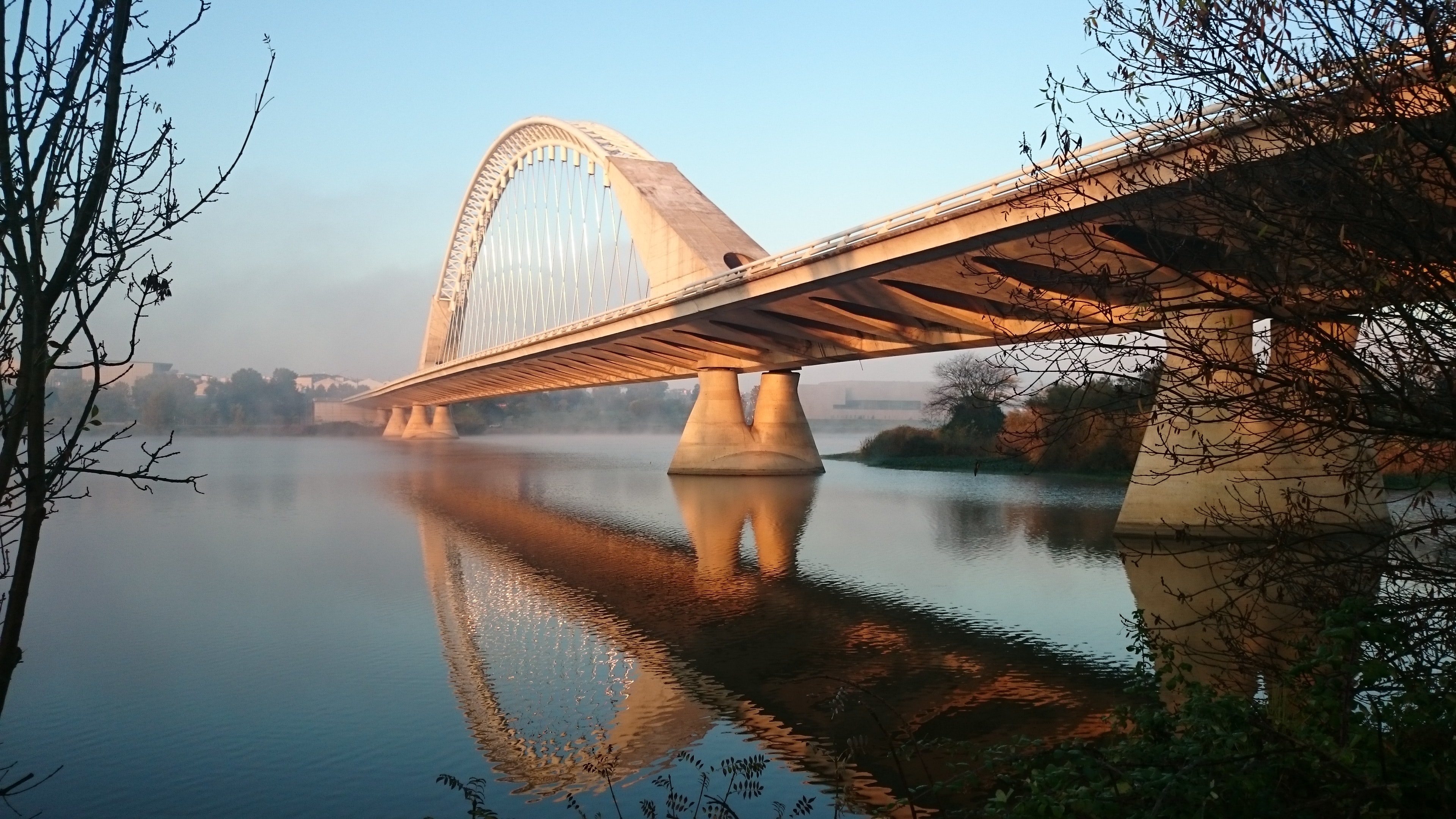 architecture-bowstring-arch-bridge-bridge-77630